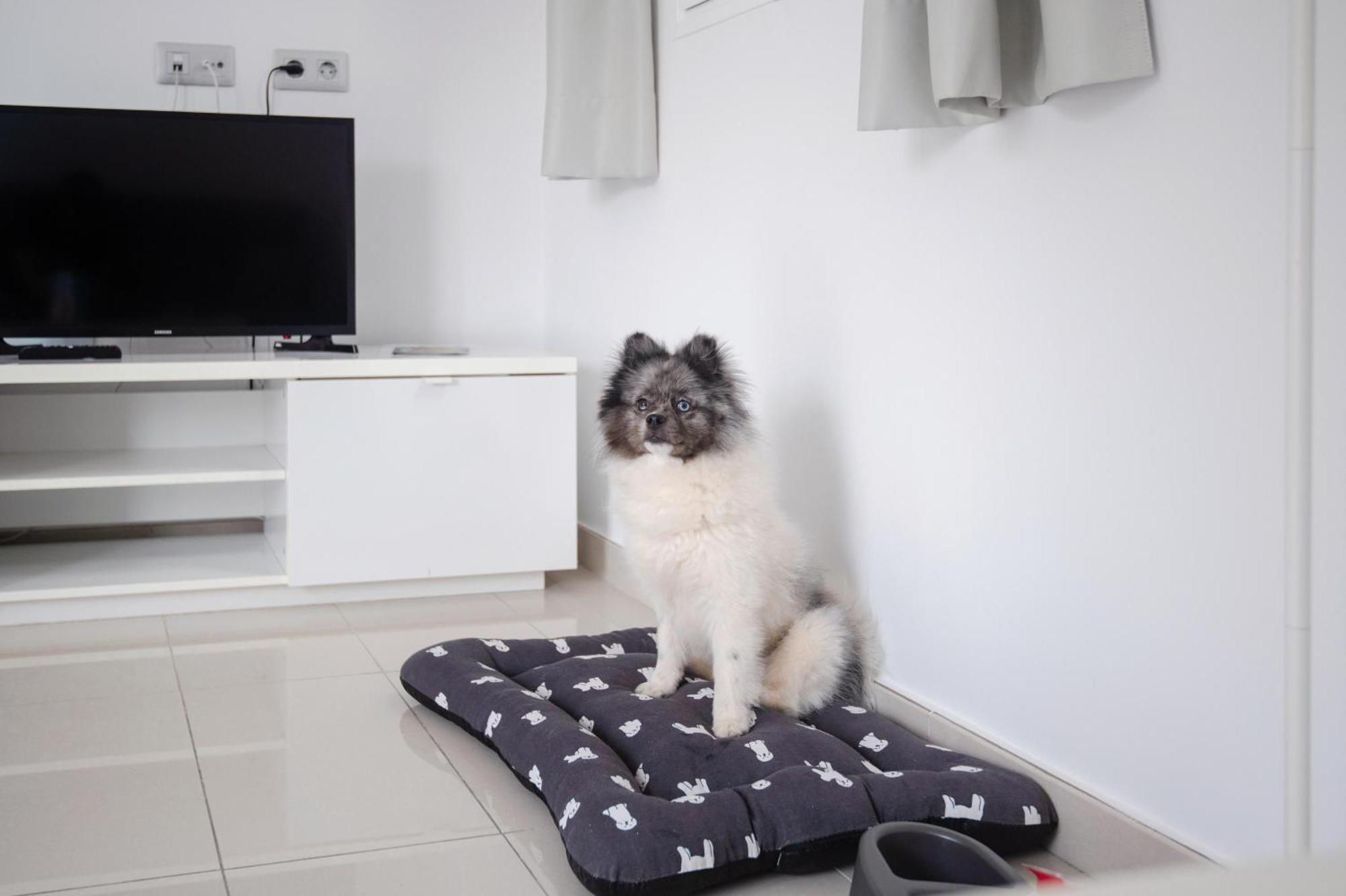 บาเอีย กาลมา บีช Apartment กอสตากาลมา ภายนอก รูปภาพ